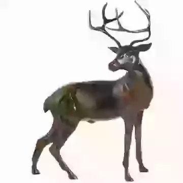 Large Stag Statue